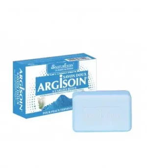 NATURESOIN ARGILE BLEUE 100G